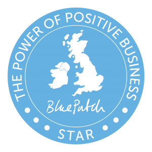 circular star logo in blue